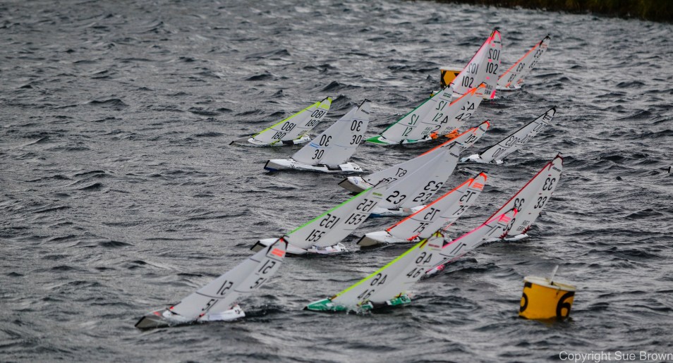 df95_nats_2016_sue_brown-5