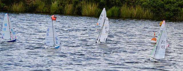 36283578685_bc122e3ec7_z