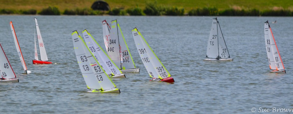 47992453732_9e9d820f97_h