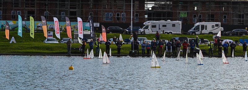 48936946686_4cfd0770ee_c