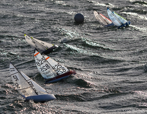 49484247156_7a3768e7de_e