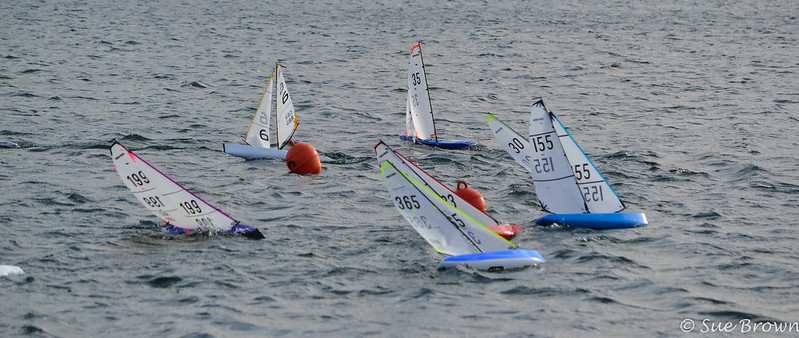 49484248951_5664243ef2_c